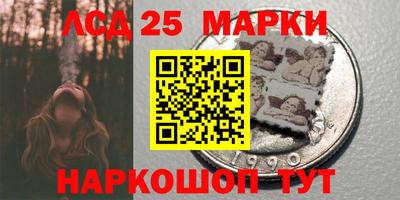 мет Можга