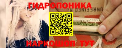 мет Можга