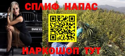 мет Можга