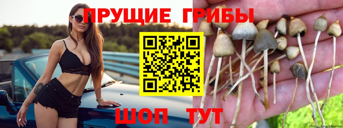 Псилоцибиновые грибы Psilocybine cubensis  Псилоцибиновые грибы Psilocybe  Жигулёвск  Вход с VPN 