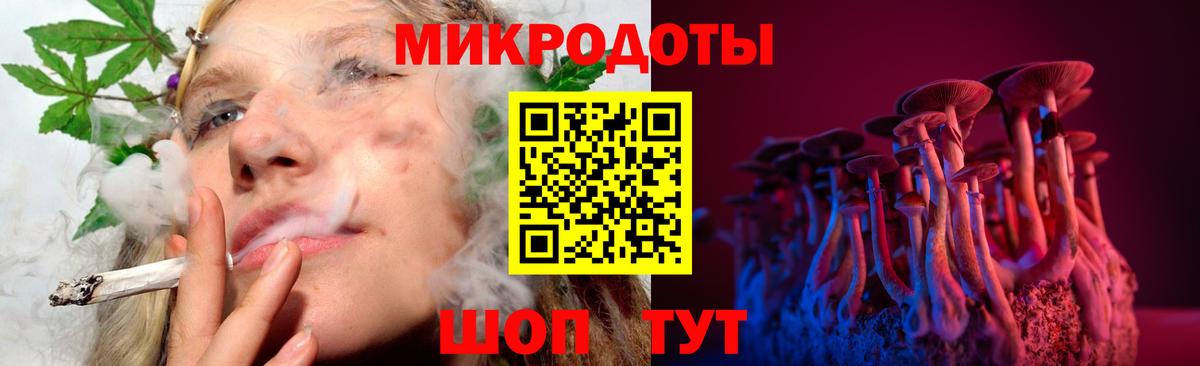 Псилоцибиновые грибы Psilocybine cubensis Жигулёвск